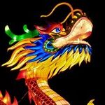 Year of the Dragon