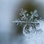 Thoughts on a Season