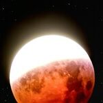 A Motherly Message from the Cancer Moon