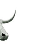 Mars Goes Bullish