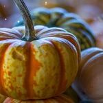 A Mabon Toast