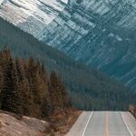 Backward, Forward and Onward