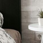 Mars Retrogrades Through Domesticity