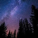 Venus Change and Neptune Retrograde