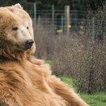 The 'Chunk' Guide to Career Success