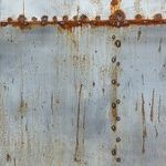 Rust-Out Is In!