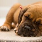Wake Up! It's Time for Bed.