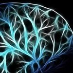 An Empty Brain is a Happy Brain