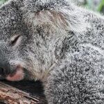 Snoozing Your Way to Success