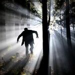 Monsters in the Night