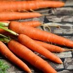 The Orange Diet