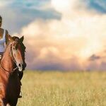 Horsing Around