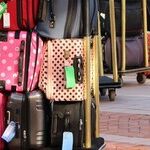 Mutant Suitcase