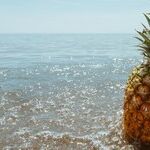 Dishwashers and Pineapples