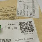 Selling Online? You Soon May Have to Pay Sales Tax