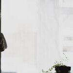 Can You Legally Spy on Your Independent Contractors?