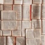 My Summer 2020 Reading List