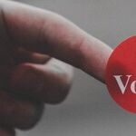 How You Should Vote This November