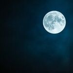 'Moonlighting' and the Law