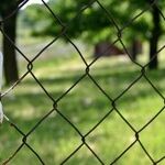 Investing in Land