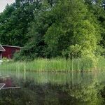 Investor Offers for out-of-State Property