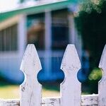 Thoughts on Fence or Hedge