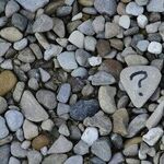 Different Answers Are Not Necessarily Wrong Answers