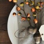 Giving Thanks for Social Security