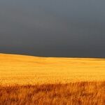 An Old and Whacky Social Security Rant