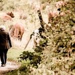 Widows Must Sign Up for Benefits in Person