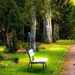 What To Do When a Loved One Dies