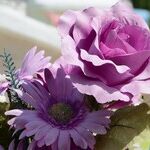 The 'Burial Benefit' That Won't Bury You
