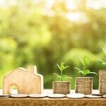 Spousal Benefits: What You Can and Cannot Do