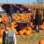 Give Thanks for Social Security