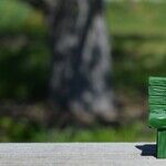 Social Security Rules for Federal Government Employees