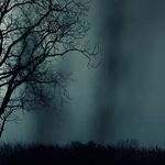 Credit and Debt: Thirteen Scary Ways to Waste Money