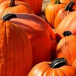 This Halloween, Don't Let These Money Mistakes Creep Up On You!
