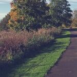 How Much of Your Income Do You Need to Replace in Retirement?