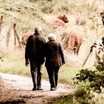 Tips for Helping Elderly Parents With Their Finances