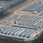 A Portfolio of Oil and Gas Speculations
