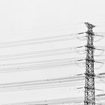 CSAL, WIN and Telecoms