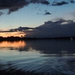 The Mighty Amazon