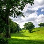 Structured Investment Option and NKTR