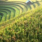 Investing in China
