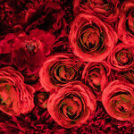 Celebrity Valentines Go Big
