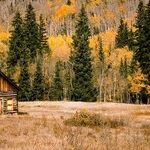 Lynda Hirsch on Television -- Summaries