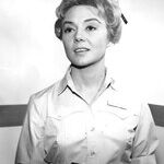 LYNDA HIRSCH ON TELEVISION -- GOSSIP