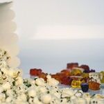 LYNDA HIRSCH ON TELEVISION -- SUMMARIES