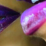 Beauty and the Beat