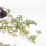 On Safari: Spring Fashion Adventures